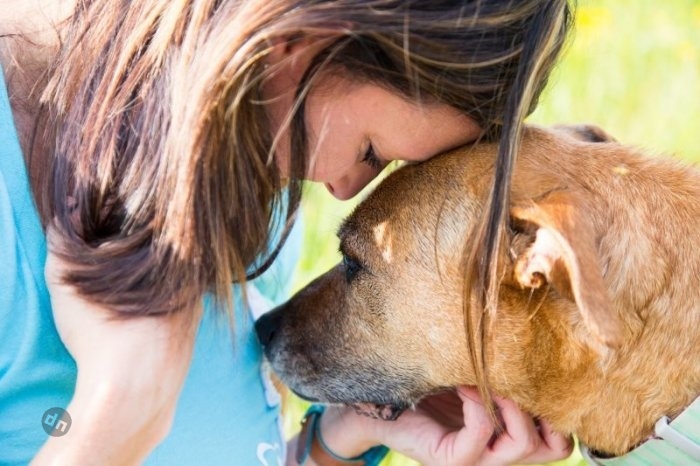 Позитивные собаки