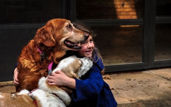 Позитивные собаки