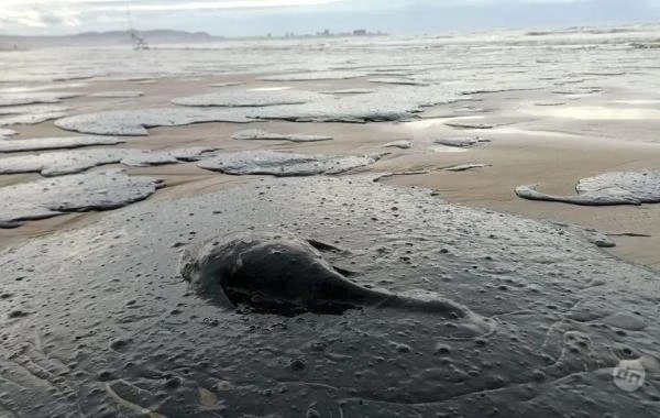 Из-за разлива нефтепродуктов в Чёрном море в Краснодарском крае ввели режим ЧС