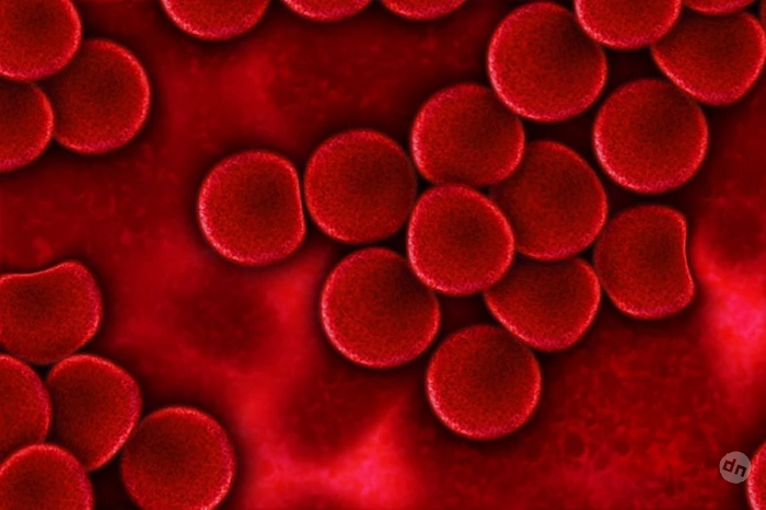 JAMA Neurology: уровень холестерина в крови влияет на здоровье мозга