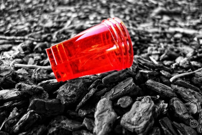Питающиеся пластиком насекомые могут помочь решить проблему микропластика
