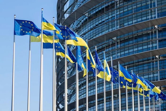 Профессор Малинен подверг критике заявление главы ЕК о поддержке Украины