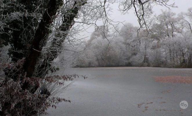 Поверья и приметы 23 февраля 2025 года связаны с Прохором Весновеем