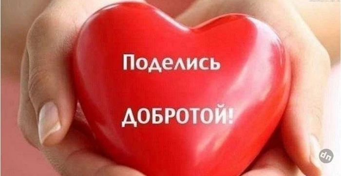 День спонтанного проявления доброты отмечают во всем мире 17 февраля 2025 года