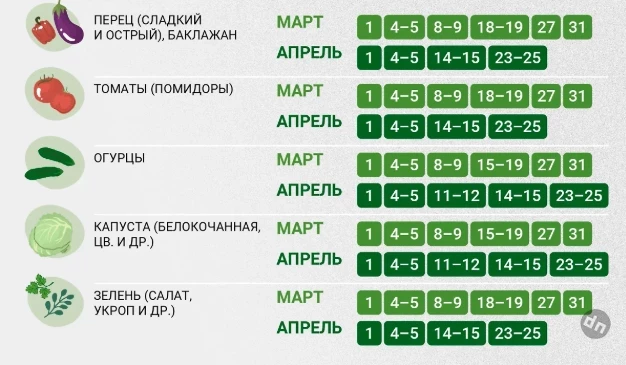 Благоприятные числа для посадки в марте и апреле 2025 года согласно посадочному календарю