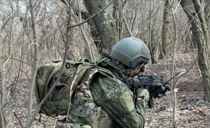 ВС РФ продвинулись восточнее Покровско-Мирноградской агломерации, взяв под контроль Елизаветовку
