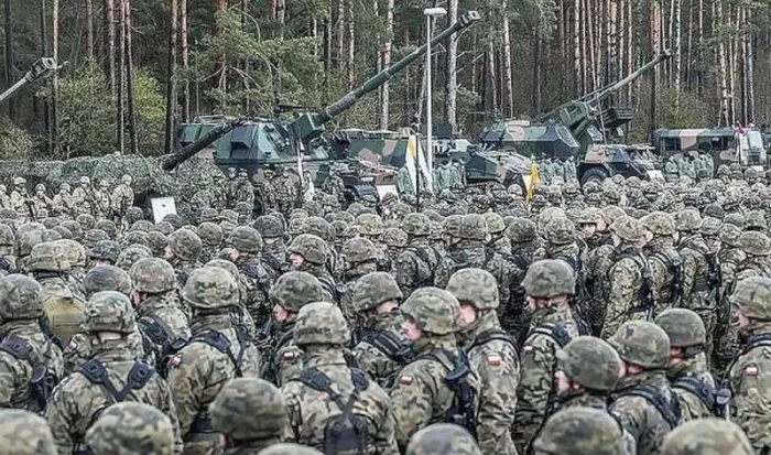 Генерал ВСУ: Польша планирует значительно увеличить войска территориальной обороны за счёт проживающих в стране украинцев