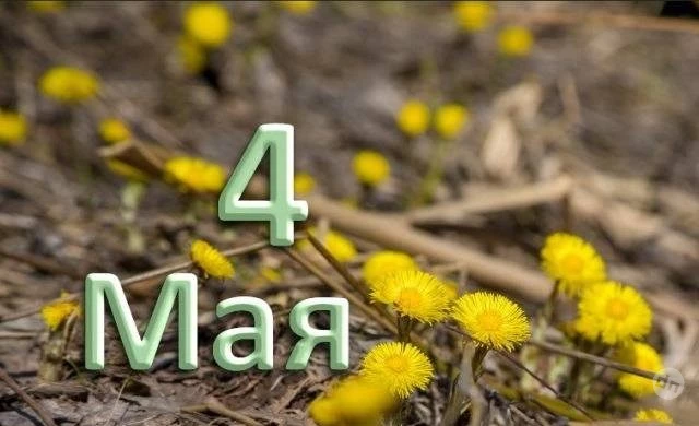 Какие праздники отмечают 4 мая 2025 года в разных странах мира