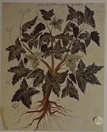 Византия: пьянство и бой