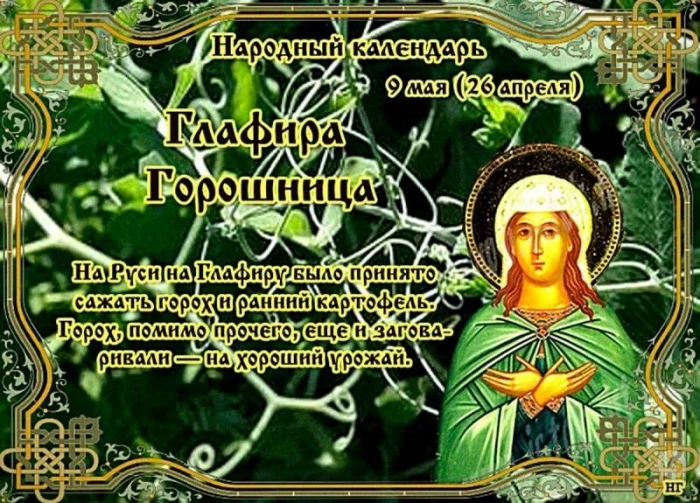 Приметы и поверья на 9 мая 2025 года: что нужно сделать в день Глафиры Горошницы