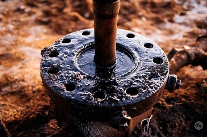 Россия достигнет целей СВО вне зависимости от цен на нефть