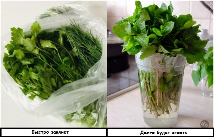 8 кулинарных лайфхаков, которые полезно знать и хозяйкам, и будущим поварам