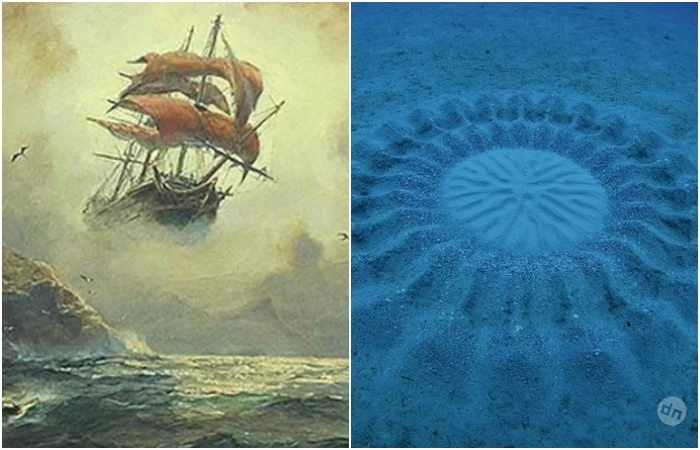 Кто издаёт «Бульк» и рисует круги на дне океана: 4 морские загадки, которые всё-таки разгадали