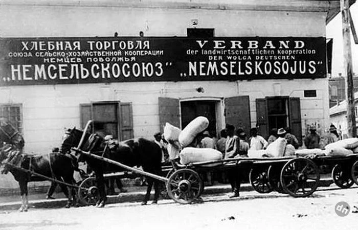 Немцы Поволжья: откуда взялись в России, как и почему исчезли