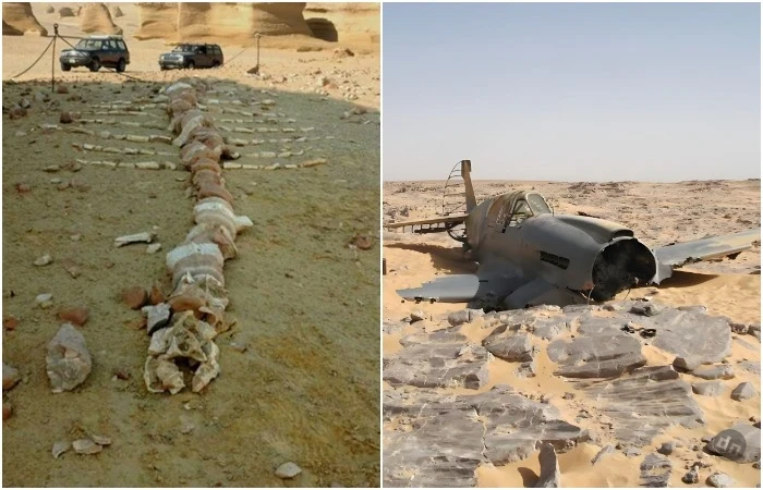 Метеориты и пропавший самолёт: 5 неожиданных вещей, которые хранит пустыня Сахара