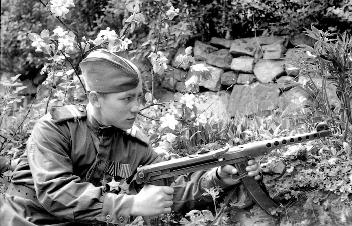 «Шмайссер» против «Судаева»: чей пистолет-пулемёт в годы Великой Отечественной оказался лучше