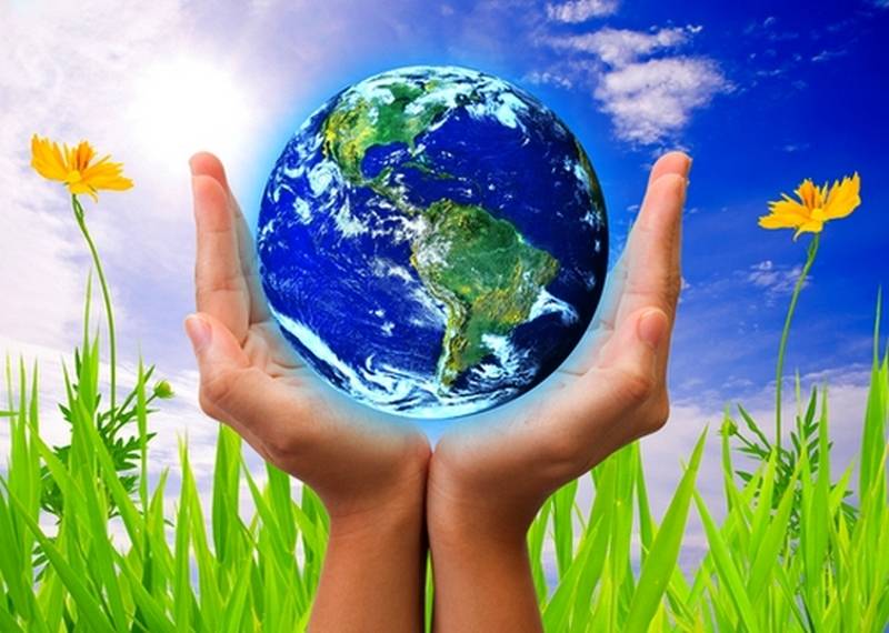 В День эколога 5 июня 2024 года не обойтись без оригинальных поздравлений