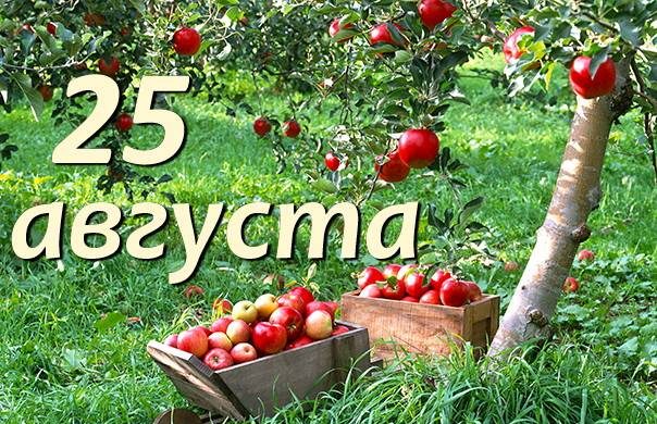 Значимые события 25 августа 2024 года: простые и церковные праздники